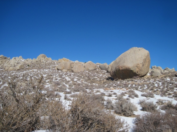 The Buttermilks, photo from the previous year.